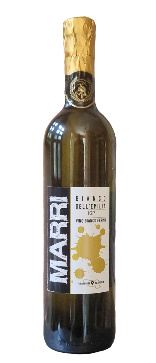 Marri Wine-Pignoletto Fermo